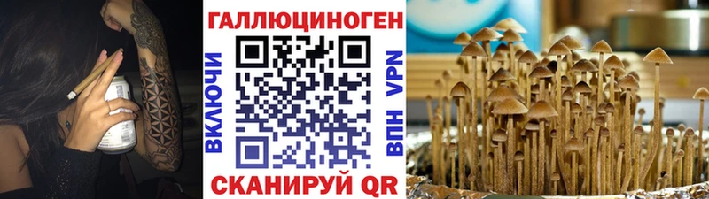 Галлюциногенные грибы мицелий Коряжма